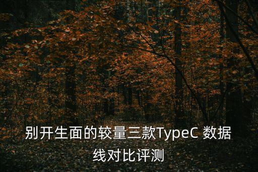 別開生面的較量三款TypeC 數(shù)據(jù)線對比評測