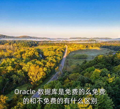 Oracle 數(shù)據(jù)庫是免費的么免費的和不免費的有什么區(qū)別