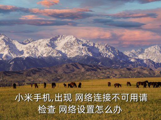 小米怎么開數(shù)據(jù)網(wǎng)絡(luò)怎么回事啊