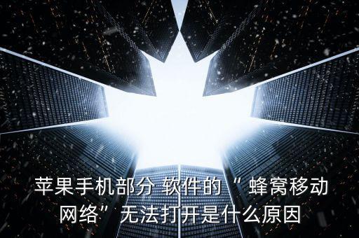 蘋果軟件沒有蜂窩數(shù)據(jù)連接不上,蘋果手機如何查詢各軟件蜂窩數(shù)據(jù)