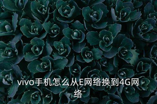 vivo手機(jī)怎么從E網(wǎng)絡(luò)換到4G網(wǎng)絡(luò)
