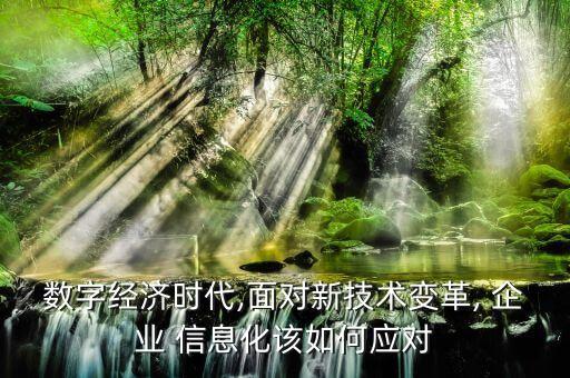 數(shù)字經(jīng)濟時代,面對新技術(shù)變革, 企業(yè) 信息化該如何應(yīng)對