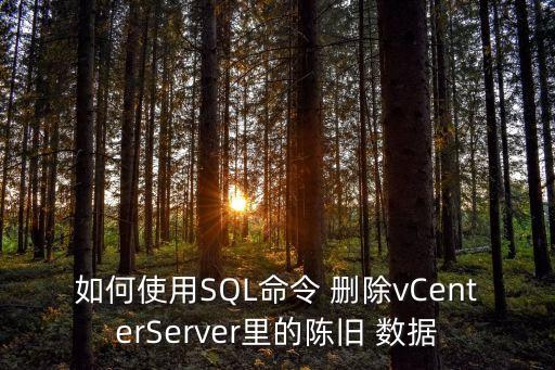 如何使用SQL命令 刪除vCenterServer里的陳舊 數(shù)據(jù)