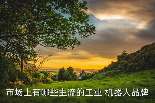 市場(chǎng)上有哪些主流的工業(yè) 機(jī)器人品牌