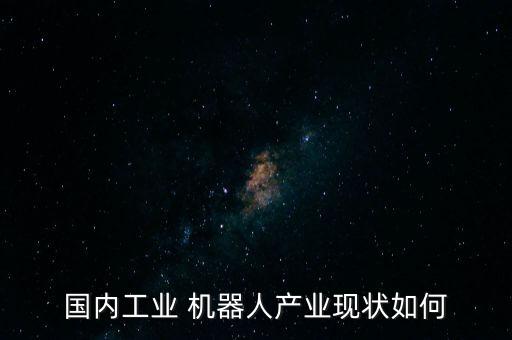 國內(nèi)工業(yè) 機器人產(chǎn)業(yè)現(xiàn)狀如何