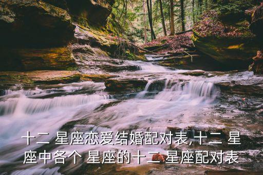 十二 星座戀愛結婚配對表,十二 星座中各個 星座的十二 星座配對表