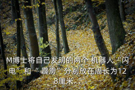 M博士將自己發(fā)明的兩個(gè) 機(jī)器人“閃電”和“ 霹靂”分別放在周長(zhǎng)為128厘米...