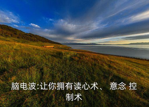 腦電波:讓你擁有讀心術(shù)、 意念 控制術(shù)