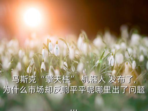 馬斯克“擎天柱” 機器人 發(fā)布了,為什么市場卻反響平平呢哪里出了問題...