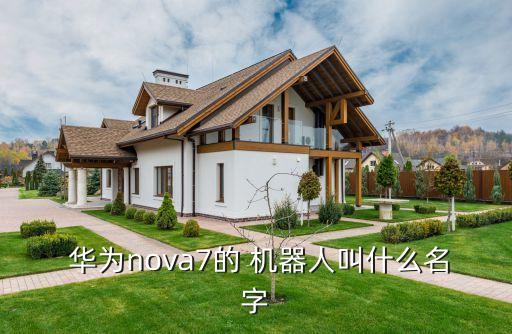  華為nova7的 機(jī)器人叫什么名字