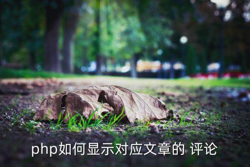 php如何顯示對應(yīng)文章的 評論