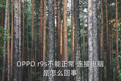 OPPO r9s不能正常 連接電腦是怎么回事