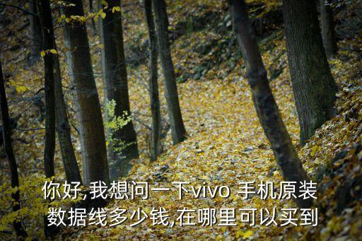 你好,我想問一下vivo 手機(jī)原裝 數(shù)據(jù)線多少錢,在哪里可以買到