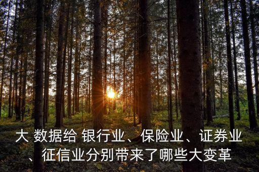 大 數(shù)據(jù)給 銀行業(yè)、保險業(yè)、證券業(yè)、征信業(yè)分別帶來了哪些大變革