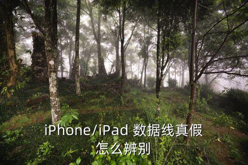 蘋果數(shù)據(jù)線序列號(hào)真假,蘋果原裝數(shù)據(jù)線序列號(hào)查詢