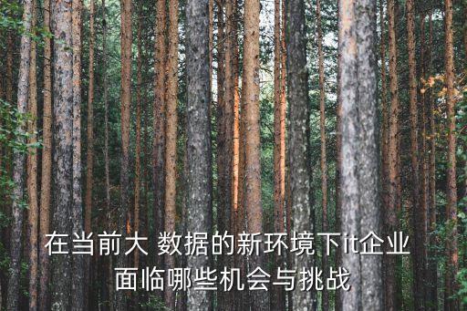 大數(shù)據(jù)時(shí)代面臨的挑戰(zhàn)與機(jī)遇