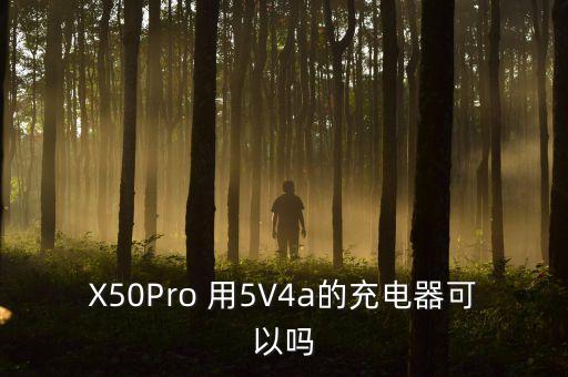 X50Pro 用5V4a的充電器可以嗎