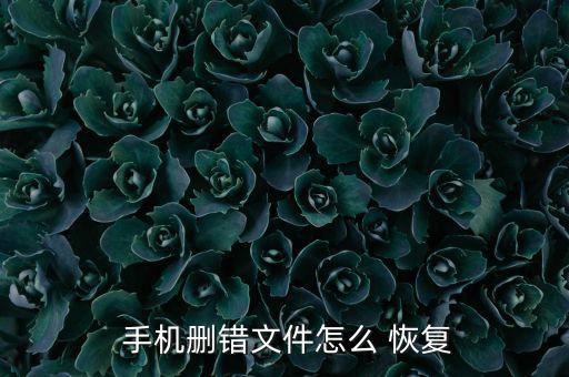 手機(jī)刪除數(shù)據(jù)電腦恢復(fù)原狀,oppo手機(jī)清除數(shù)據(jù)后怎么恢復(fù)原狀?