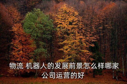  物流 機(jī)器人的發(fā)展前景怎么樣哪家公司運(yùn)營(yíng)的好