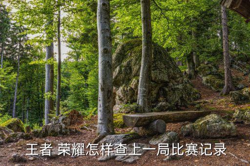  王者 榮耀怎樣查上一局比賽記錄
