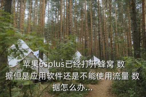  蘋果6splus已經(jīng)打開蜂窩 數(shù)據(jù)但是應(yīng)用軟件還是不能使用流量 數(shù)據(jù)怎么辦...