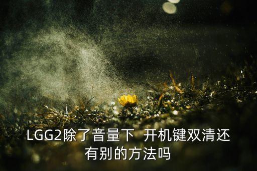 LGG2除了音量下  開機鍵雙清還有別的方法嗎