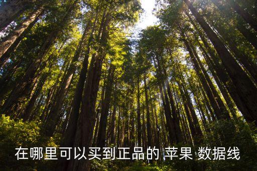 在哪里可以買到正品的 蘋果 數(shù)據(jù)線