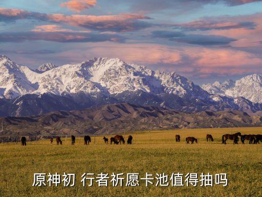 山東卡行者大數據公司