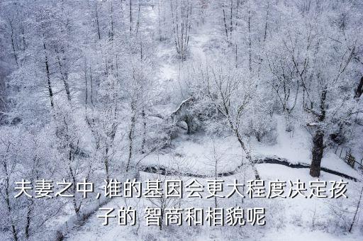 大數(shù)據(jù) 智商,第一次crt智商數(shù)據(jù)