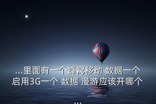 ...里面有一個蜂窩移動 數(shù)據(jù)一個啟用3G一個 數(shù)據(jù) 漫游應該開哪個...