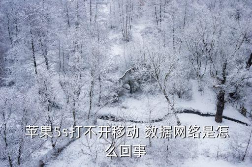  蘋果5s打不開移動(dòng) 數(shù)據(jù)網(wǎng)絡(luò)是怎么回事