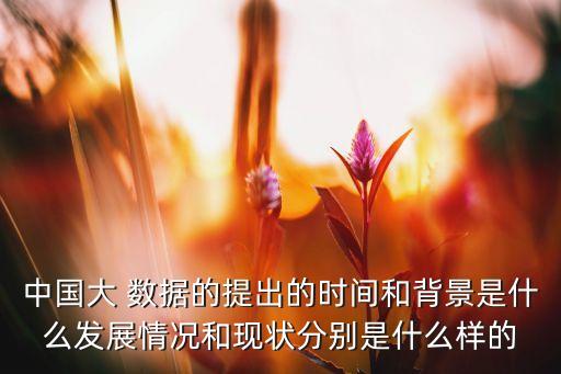 中國大 數(shù)據(jù)的提出的時間和背景是什么發(fā)展情況和現(xiàn)狀分別是什么樣的