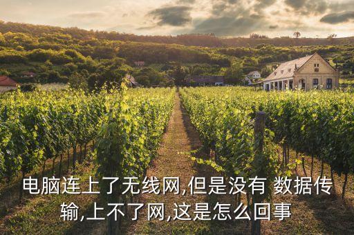 電腦連上了無線網(wǎng),但是沒有 數(shù)據(jù)傳輸,上不了網(wǎng),這是怎么回事