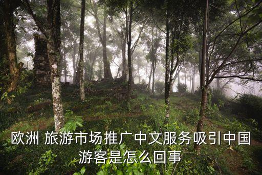 歐洲 旅游市場(chǎng)推廣中文服務(wù)吸引中國(guó)游客是怎么回事