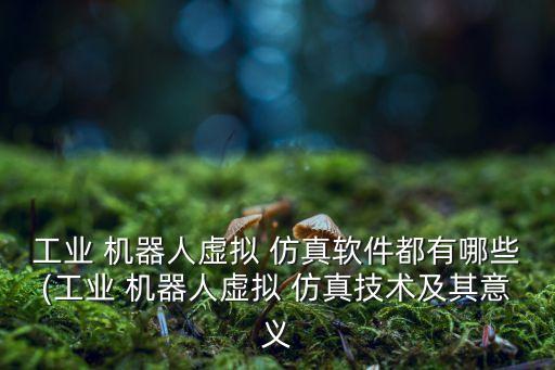 工業(yè) 機(jī)器人虛擬 仿真軟件都有哪些(工業(yè) 機(jī)器人虛擬 仿真技術(shù)及其意義