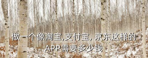 做一個(gè)像淘寶,支付寶, 京東這樣的APP需要多少錢(qián)