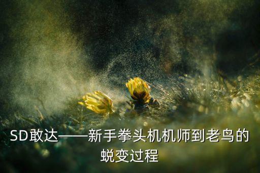 敢達(dá)機(jī)器人,敢達(dá)姆機(jī)器人