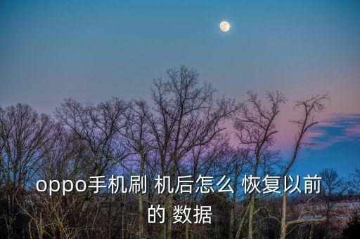 oppo手機刷 機后怎么 恢復以前的 數(shù)據(jù)