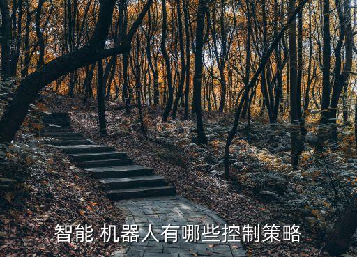 智能 機(jī)器人有哪些控制策略
