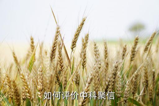 如何評價中科聚信