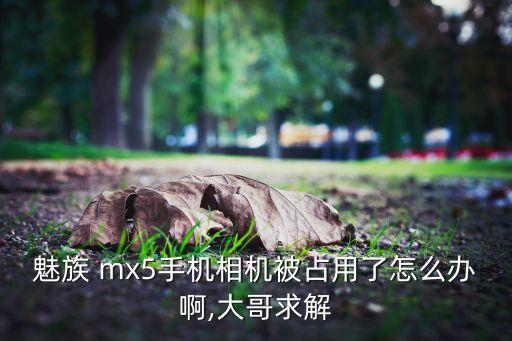 魅族 mx5手機相機被占用了怎么辦啊,大哥求解