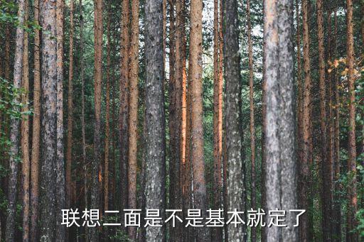 聯(lián)想 數(shù)據(jù)挖掘面試,數(shù)據(jù)挖掘工程師面試問題
