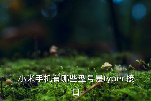 小米三數(shù)據(jù)端口種類