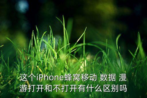 這個iPhone蜂窩移動 數(shù)據(jù) 漫游打開和不打開有什么區(qū)別嗎