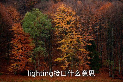 lighting接口什么意思