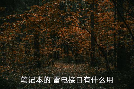 筆記本的 雷電接口有什么用