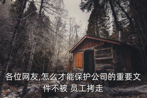 各位網(wǎng)友,怎么才能保護(hù)公司的重要文件不被 員工拷走