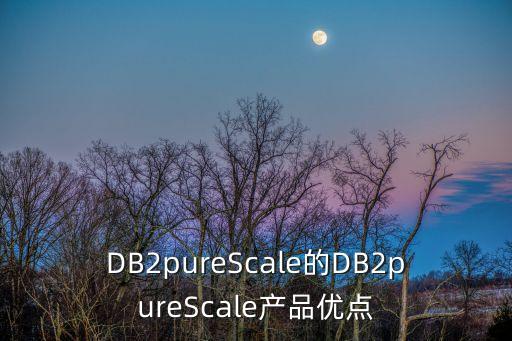 DB2pureScale的DB2pureScale產(chǎn)品優(yōu)點(diǎn)