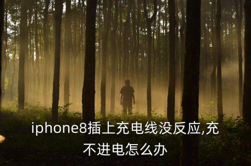 iphone8插上充電線沒反應(yīng),充不進(jìn)電怎么辦