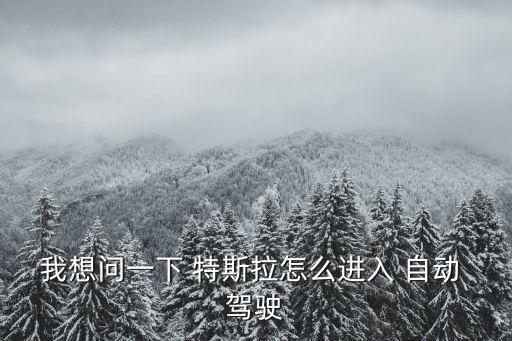 我想問一下 特斯拉怎么進入 自動 駕駛